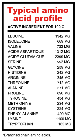 PGN Ultra Mass Gainer